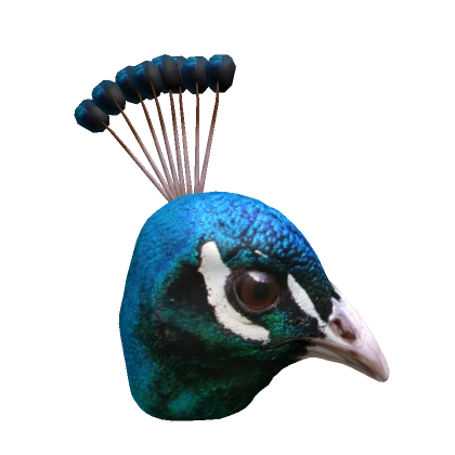 Realistic Peacock