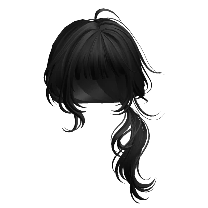 Black Low Ponytail