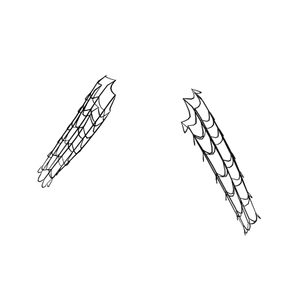 ✦ Gothic Black Spider Cobweb Halloween Sleeves 🕸