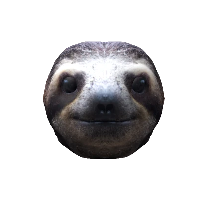 Realistic Sloth