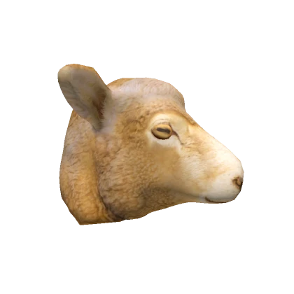 Realistic Sheep