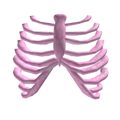 Pink Ribcage