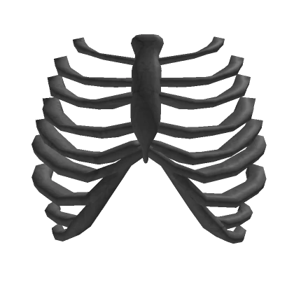 Grey Rib Cage