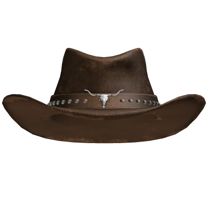 Brown Cowboy hat