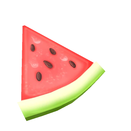 Watermelon Slice