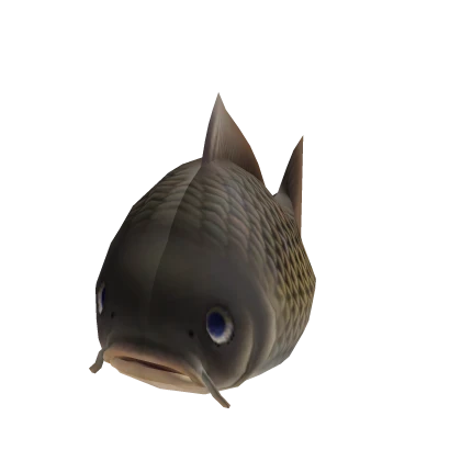 Fisch Suit