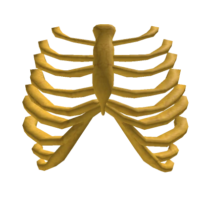 Golden Rib Cage