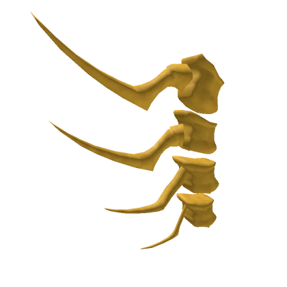 Golden Skeletal Spine