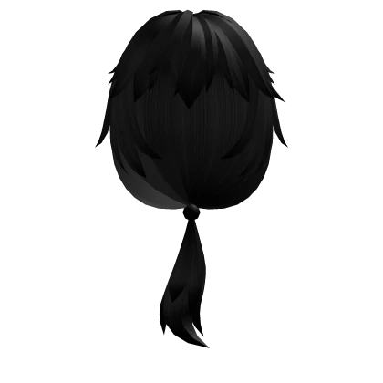 Black Low Ponytail