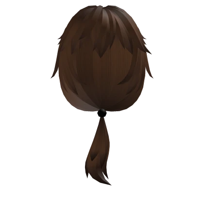 Brown Low Ponytail