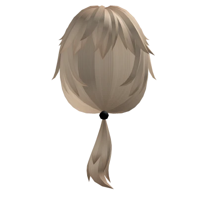 Blonde Low Ponytail