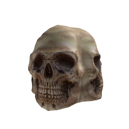 004 Skull