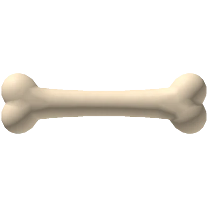 Bone