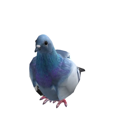 Tiny Pigeon Suit