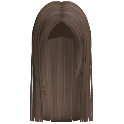 Long Straight Preppy Hair (Brown)