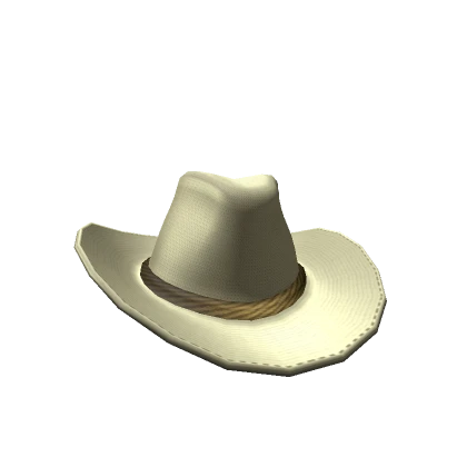 Slightly Tilted Cowboy Hat