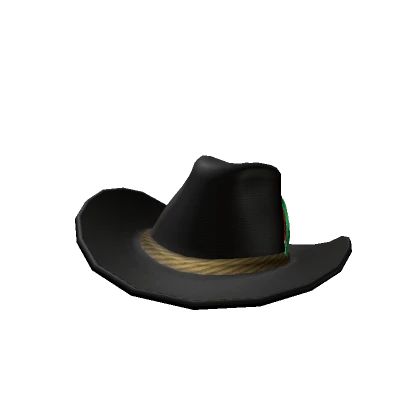 Slightly Tilted Black Cowboy Hat