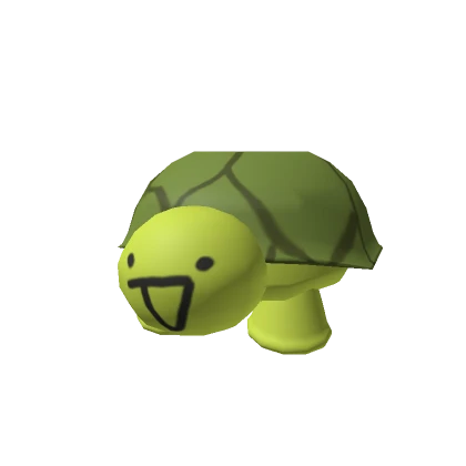 Turtle Shelly