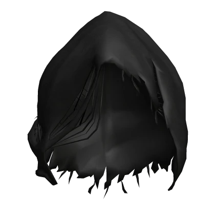 Damaged Black Hood