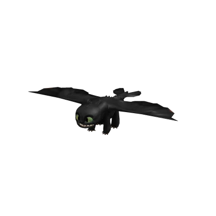 Toothless the Dragon Suit