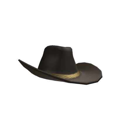 Slightly Tilted Dark Brown Cowboy Hat