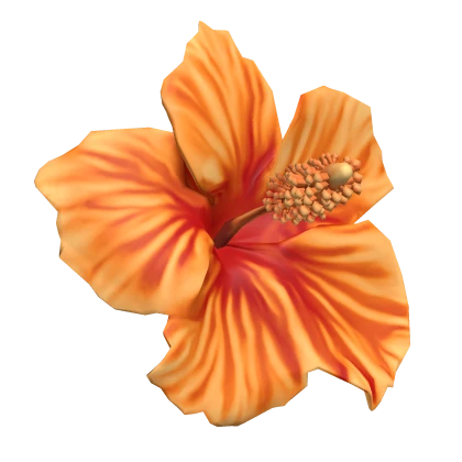 Orange Summer Tropical Hibiscus Flower