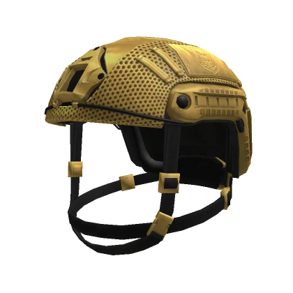 Blingerator: FASTERATOR Helmet