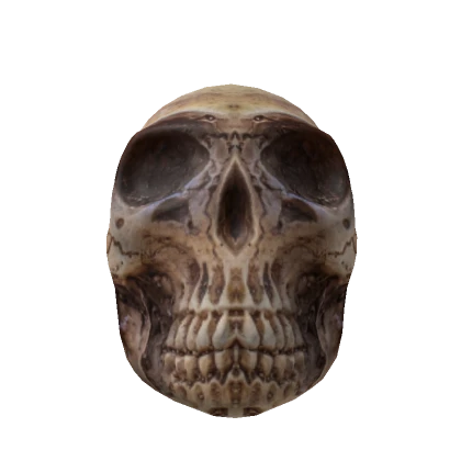 Giant Skull