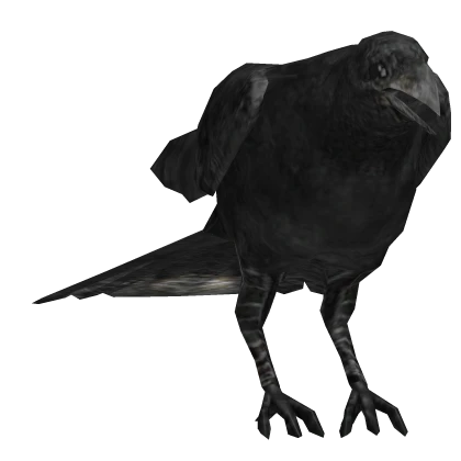 Haunted Crow Pet