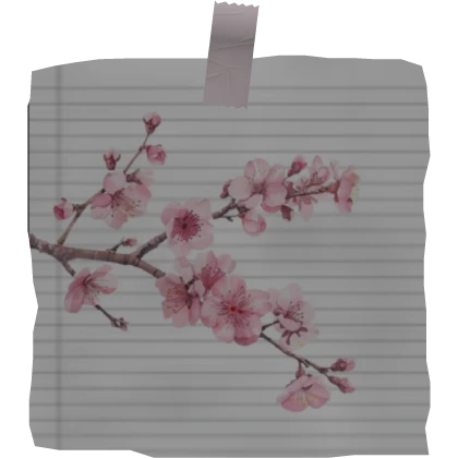 cute sakura flower sticky note