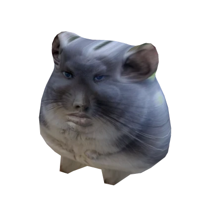 Meme chinchilla suit