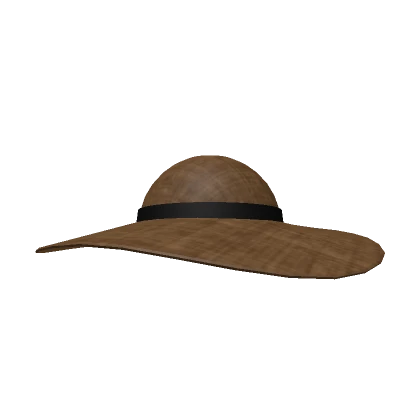 Brown Sunhat