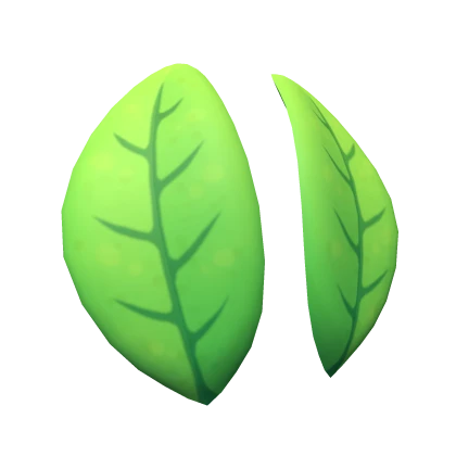 Green Leaf Ears