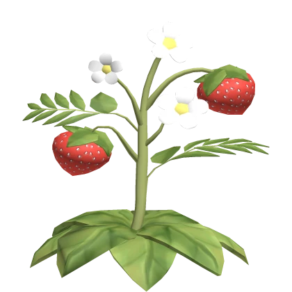 igari strawberry leaf on head floral sprout 🍓