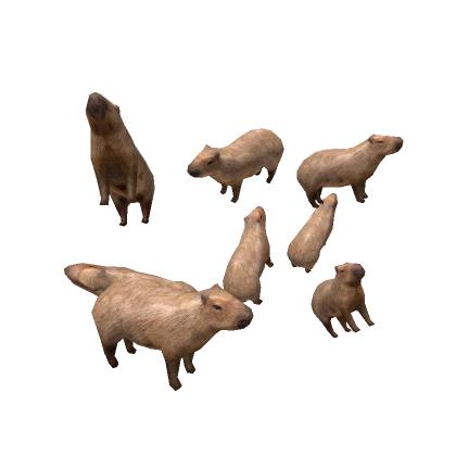 Capybara Capybara Capybara