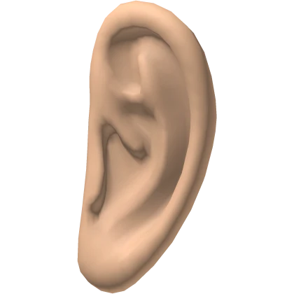 Ears