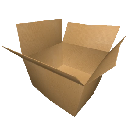 Empty Cardboard Box