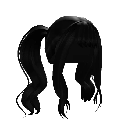 Black Long Ponytail Hair