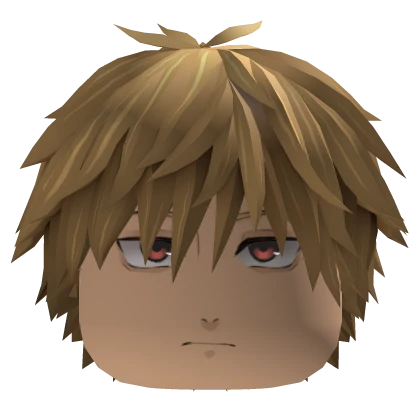 Denji (✔)