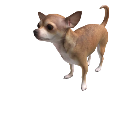 CHIHUAHUA