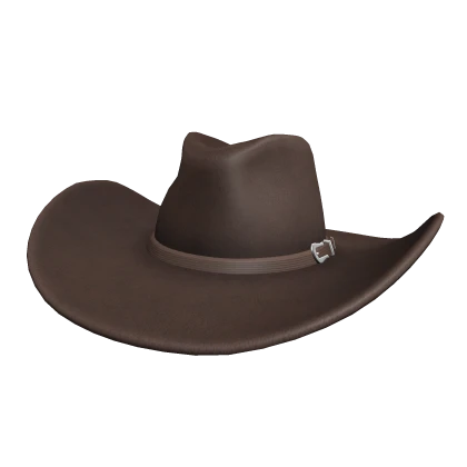 Brown Cowboy Hat