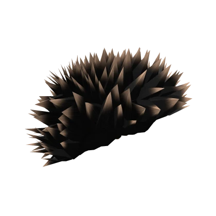 Blonde & Black Spikey Porcupine Hairstyle