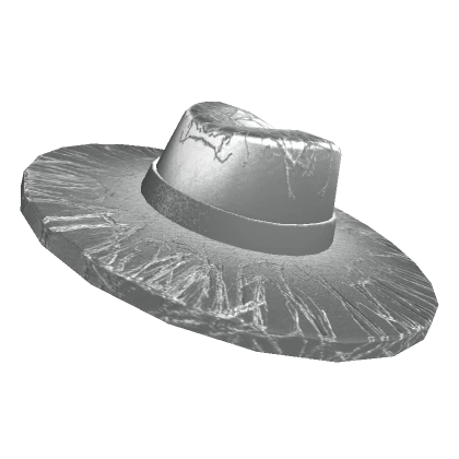 Silver Wide Brim Hat