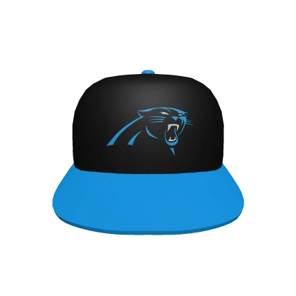 Carolina Panthers Hat