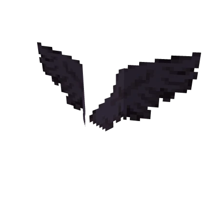 Black Wings - Steven