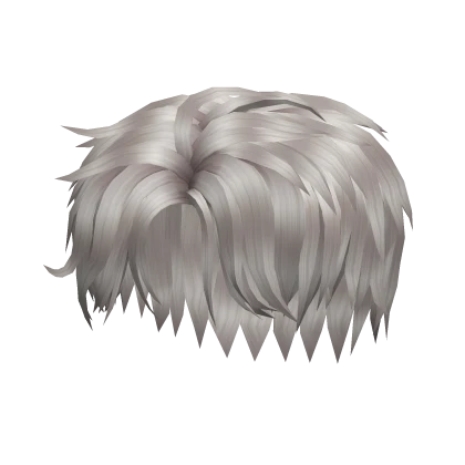Cool Boy grey Hair season 23