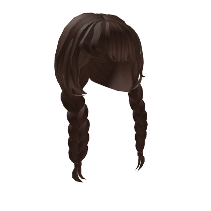 Brown Braided Hair