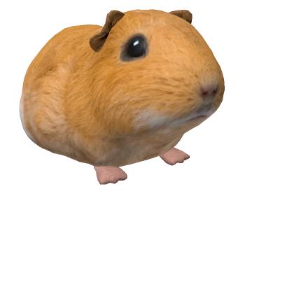 Guinea Pig Johnny