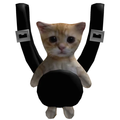 El Gato