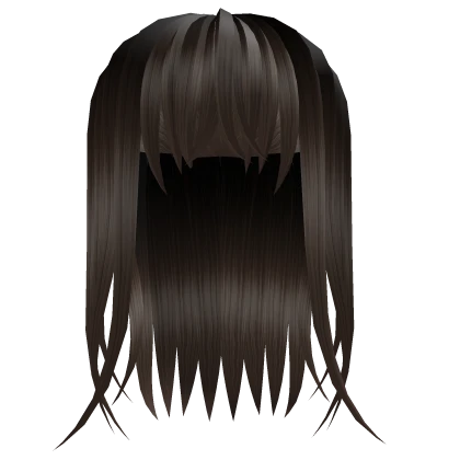 Long Half Up Straight Brown Hair